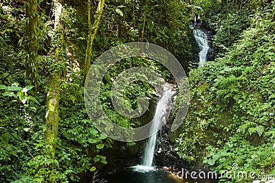 Small waterfall in monteverde cloud forest reserve Stock Photo