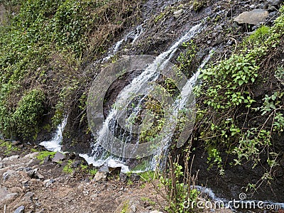 Small waterfall at mysterious Laurel forest Laurisilva, lush subtropical rainforest at hiking trail Los Tilos, La Palma Stock Photo