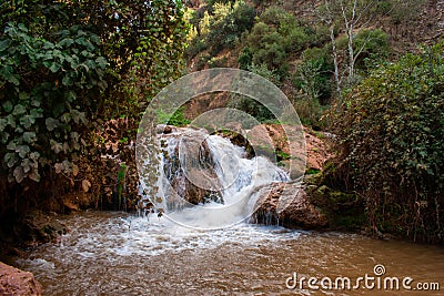 Small waterfall on river in Atlas Mountains, Morocco. Water stream in Forest. Stock Photo