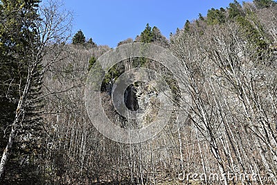 Small waterfall among the trees from Alps mountain close to KlÃ¶ntalersee lake Stock Photo