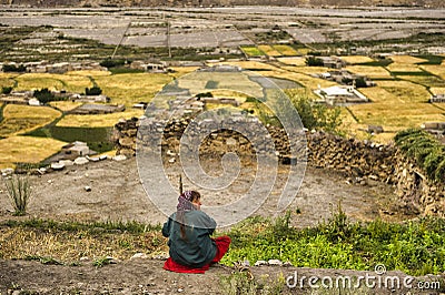 The small wheat crops in the village of Shimshal 3100m small crop Editorial Stock Photo