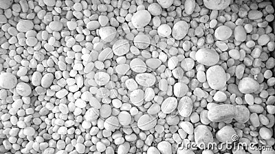 Small White pebbles Stock Photo