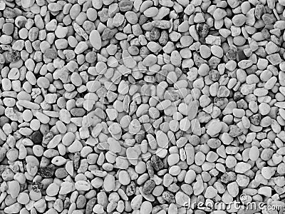 Small white stone gravel background texture. rocky, stony pebbles texture Stock Photo