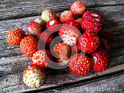 Small wild strawberry Stock Photo