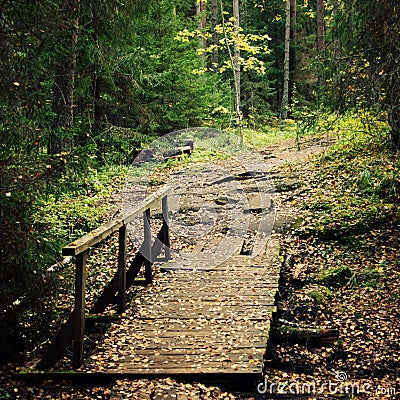 Small wooden bridge in the forest. Valaam island. Stock Photo