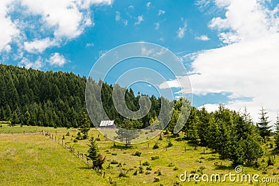 Small wooden cabine near pine woods, barbed wire fence Stock Photo