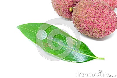 Small worm on the leaves of lychee Stock Photo