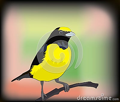 Small yellow bird illustration Vector Illustration