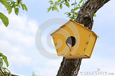 Small yellow birdhouse with a round entrance hangs on the trunk of a young tree in the garden against a blue sky with white clouds Stock Photo