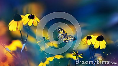 Small yellow bright summer flowers and beautiful butterfly on a background of blue, pink and green foliage in a fairy garden. Stock Photo