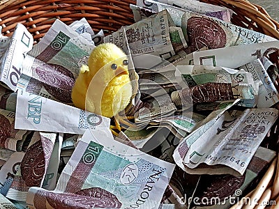 A small yellow cypher in a basket with paper money. Money does not peck the chickens. Polish paper banknotes. Donations for those Stock Photo