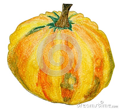 Small yellow pumpkin watercolor Stock Photo