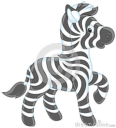 Small zebra Vector Illustration