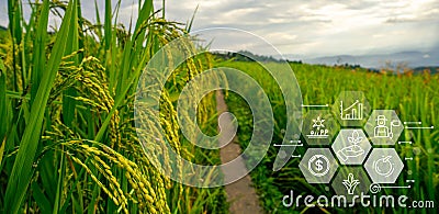 Smart farm advanced technology for enhanced productivity and quality in modern farming practices. Innovative sensors and drones Stock Photo
