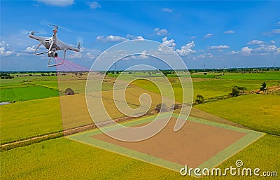 Smart farmer use drone for various fields. Drone for agriculture and use for various field. Drone copter flying with digital camer Stock Photo