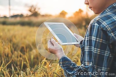 Smart farming Agricultural technology and organic agriculture Woman using the research tablet and studying the development Stock Photo