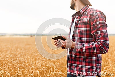 Smart farming using modern technologies in agriculture. Man agronomist farmer with digital tablet computer in wheat Stock Photo