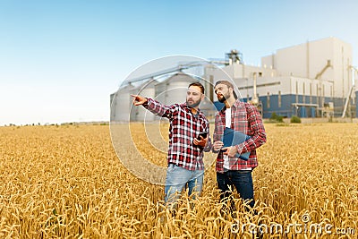 Smart farming using modern technologies in agriculture. Man agronomist farmer with digital tablet computer in wheat Stock Photo