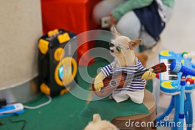 A smart little dog dressed up as a cute musician, a dog playing guitar on a shopping mall Stock Photo