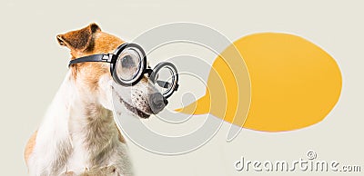 Smart nerd dog jack russell terrier in glasses and speech bubble. Gray and orange Stock Photo