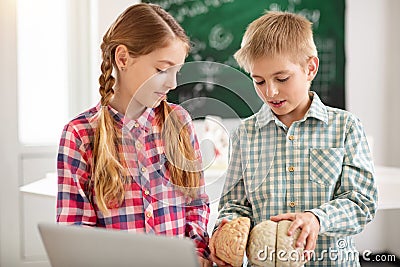 Smart nice kids looking at the human brain Stock Photo