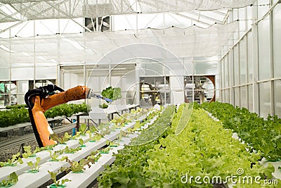 Smart robotic in agriculture futuristic concept, robot farmers Stock Photo