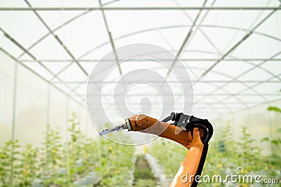 Smart robotic in agriculture futuristic concept, robot farmers Stock Photo