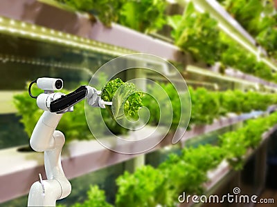 Smart robotic farmers in agriculture futuristic robot automation Stock Photo