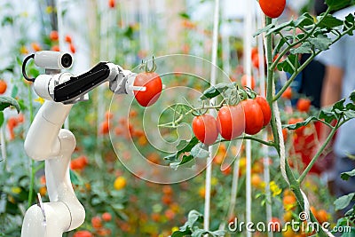 Smart robotic farmers in agriculture futuristic robot automation to work to spray chemical fertilizer Stock Photo