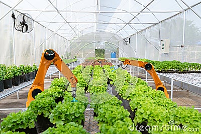 Smart robotic farmers harvest in agriculture futuristic robot automation to work technology Stock Photo