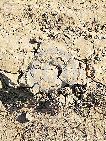 Texture of a clay dry road with cracks Stock Photo