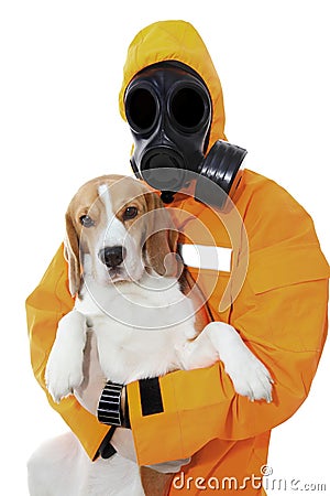 Smelly dog coronavirus corona virus corvid 19 Stock Photo