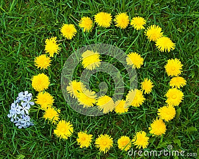 Smiley face in dandelions Stock Photo