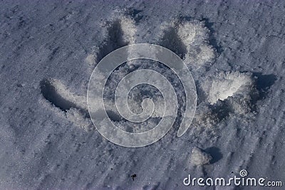 Smiley face drawn in the snow Stock Photo