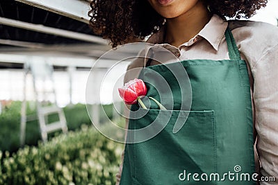 Smiling attractive darkskinned female gardener with flower on her workplace Stock Photo