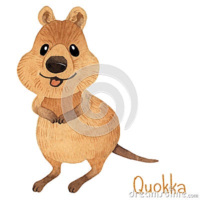 Smiling australian quokka. Cute kawaii hand drawn watercolor art Stock Photo