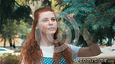 Smiling beautiful ginger girl in coniferous park Stock Photo