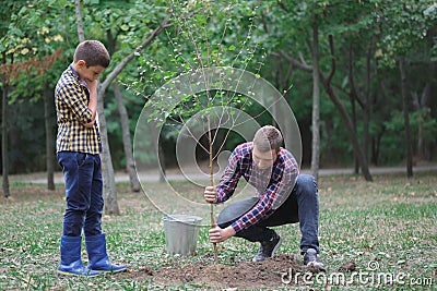 A young father and his son are planting a tree in their yard. Two boys are planting plants for Earth Day Stock Photo