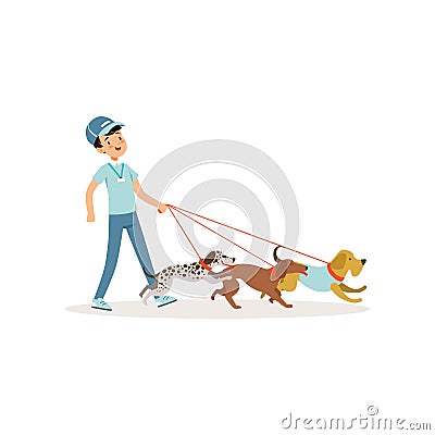 Smiling boy walking with group of different breeds dogs. Young volunteer at work. Cartoon kid character in blue jeans, t Vector Illustration