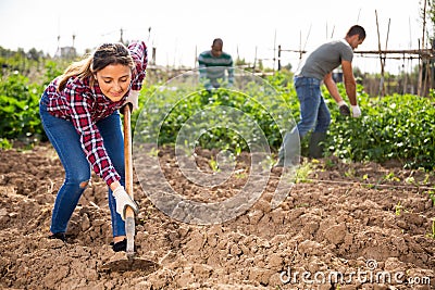 Columbian woman gardener hoeing soil on vegetable garden Stock Photo