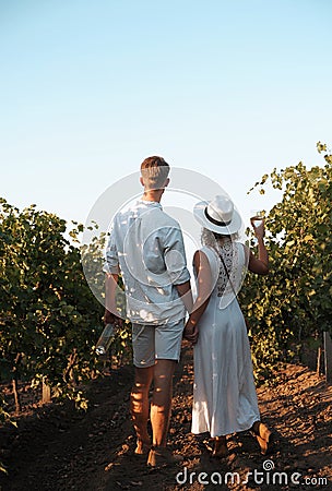 Smiling couple with glasses drinks wine in vineyaed Stock Photo