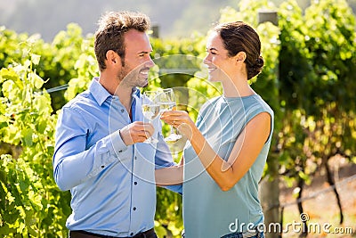 Smiling couple toasting wineglasses at vineyard Stock Photo