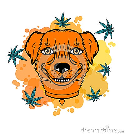 Smiling dog with a leaf. Vector Illustration