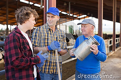 Smiling elderly farmer friendly chatting with son and grandson near stall with cows Stock Photo