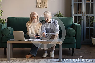 Smiling elderly spouses paying bills online using laptop Stock Photo