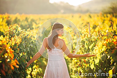 Smiling elegant woman in nature.Joy and happiness.Serene female in wine grape field in sunset.Wine growing field.Agricultural tour Stock Photo