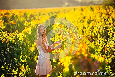 Smiling elegant woman in nature. Joy and happiness. Serene female in wine grape field in sunset. Wine growing field. Agricultural Stock Photo