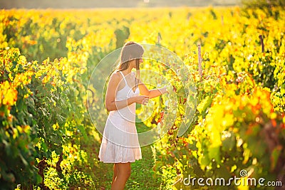 Smiling elegant woman in nature.Joy and happiness.Serene female in wine grape field in sunset.Wine growing field.Agricultural tour Stock Photo