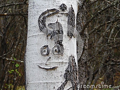 A smiling face and accompanying initials tell a brief story of a memory saved deep in the forests of north Idaho years ago Stock Photo