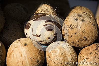 A smiling face sculpted in Coconut Stock Photo